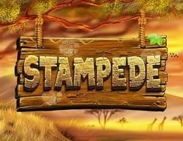 Stampede